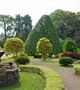 Announcement for National Botanical Garden Tour