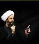 The condemnation of Ayatollah Sheikh Nimr al -Nimr martyrdom