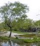 National Botanical Garden, Chitgar lake 2018