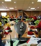 Disaster Health Management and Risk Reduction Training Course