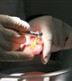 School of Dentistry